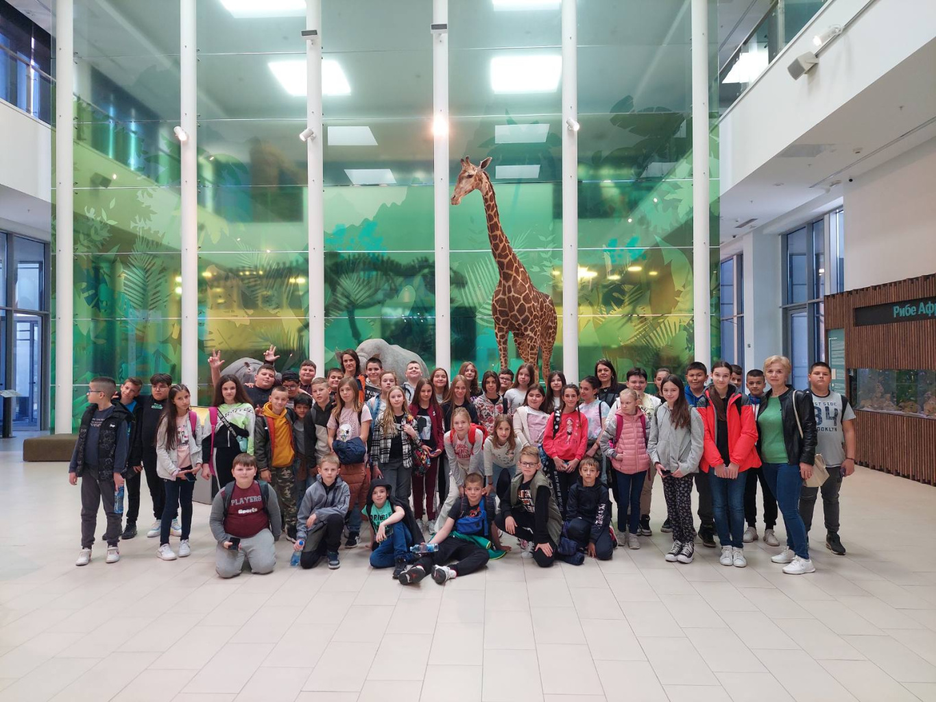 IMG-f074c0e01834a68bde873288ffaa2a3c-V.jpg IMG-f074c0e01834a68bde873288ffaa2a3c-V.jpg